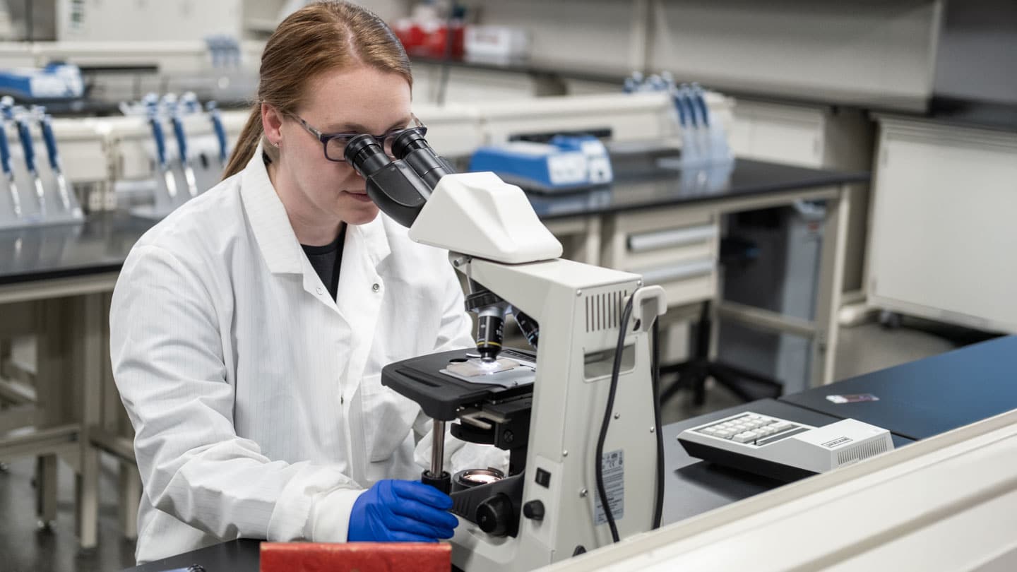 Female medical laboratory science professional working in the lab looking through a microscope.