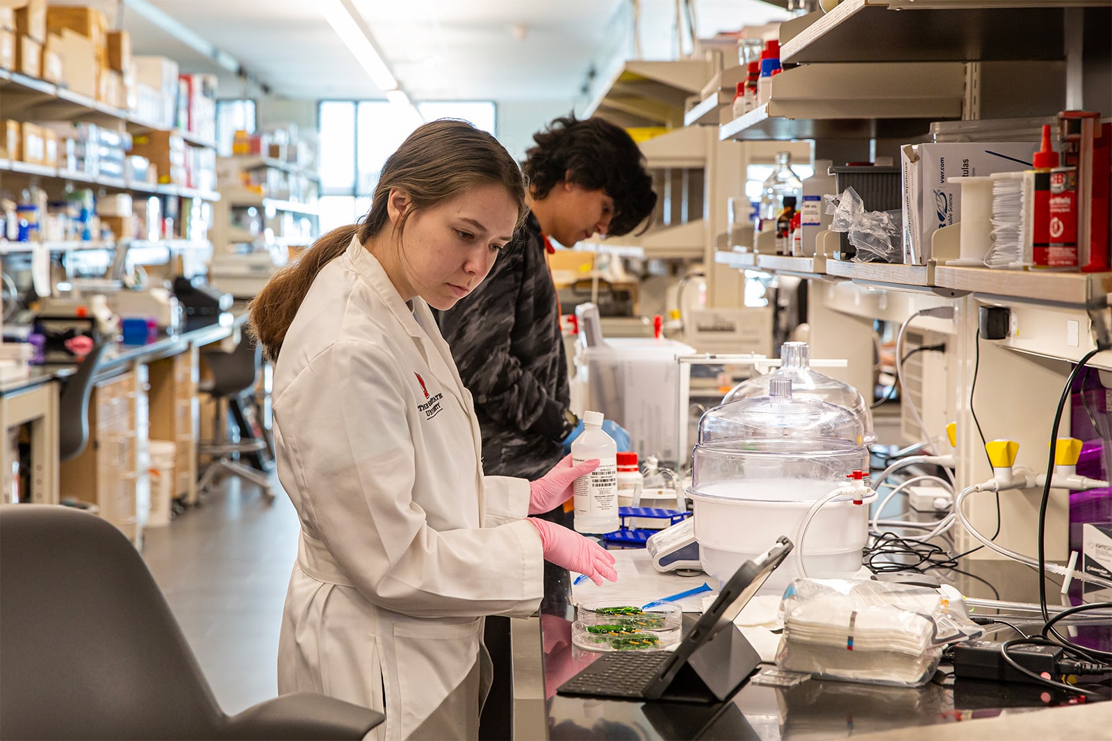 female student in lab coat and male student dressed casually work in a lab together