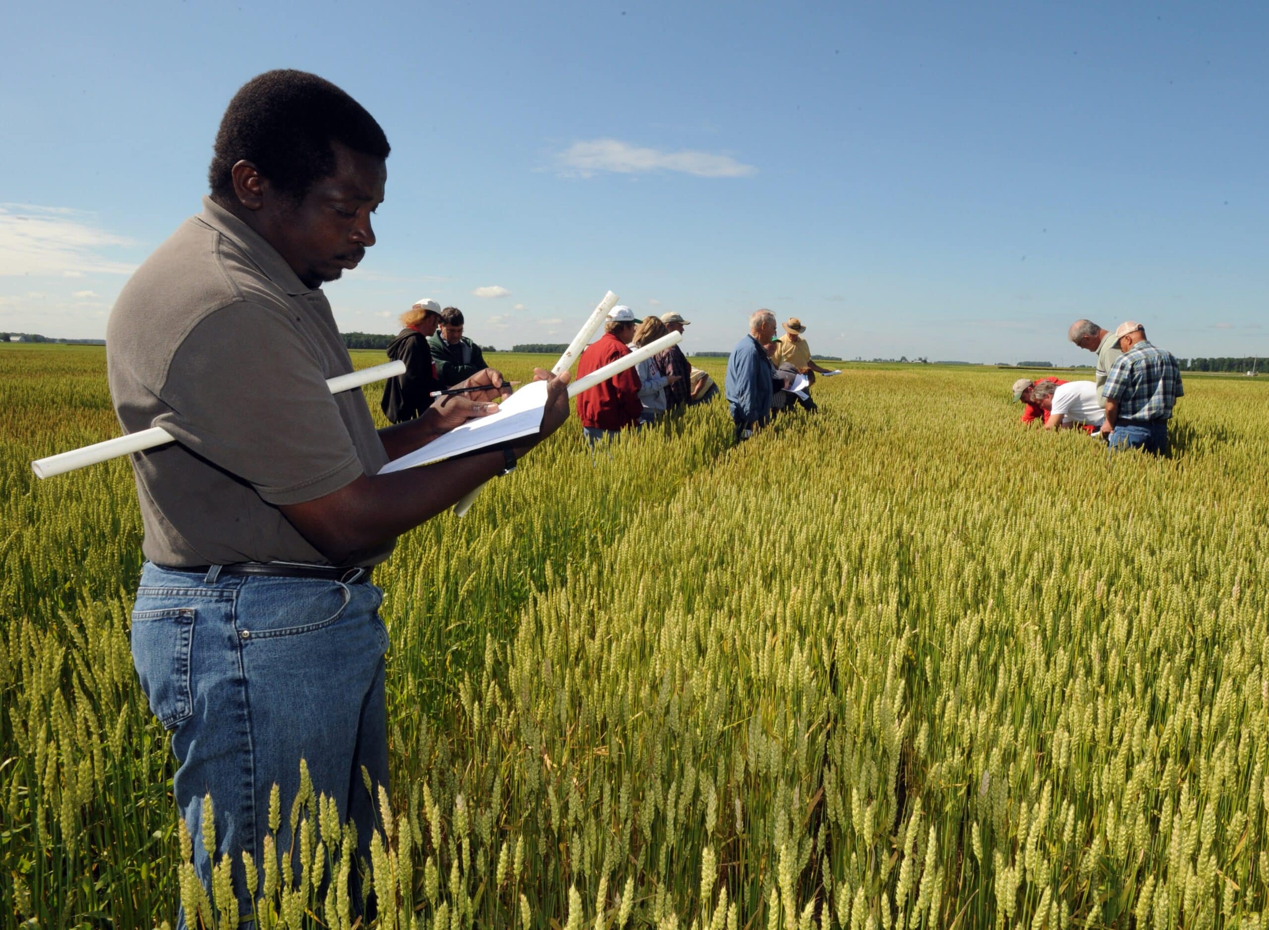 Teaching students during field work