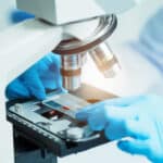 MS Translational Pharmacology Info Session: November 12