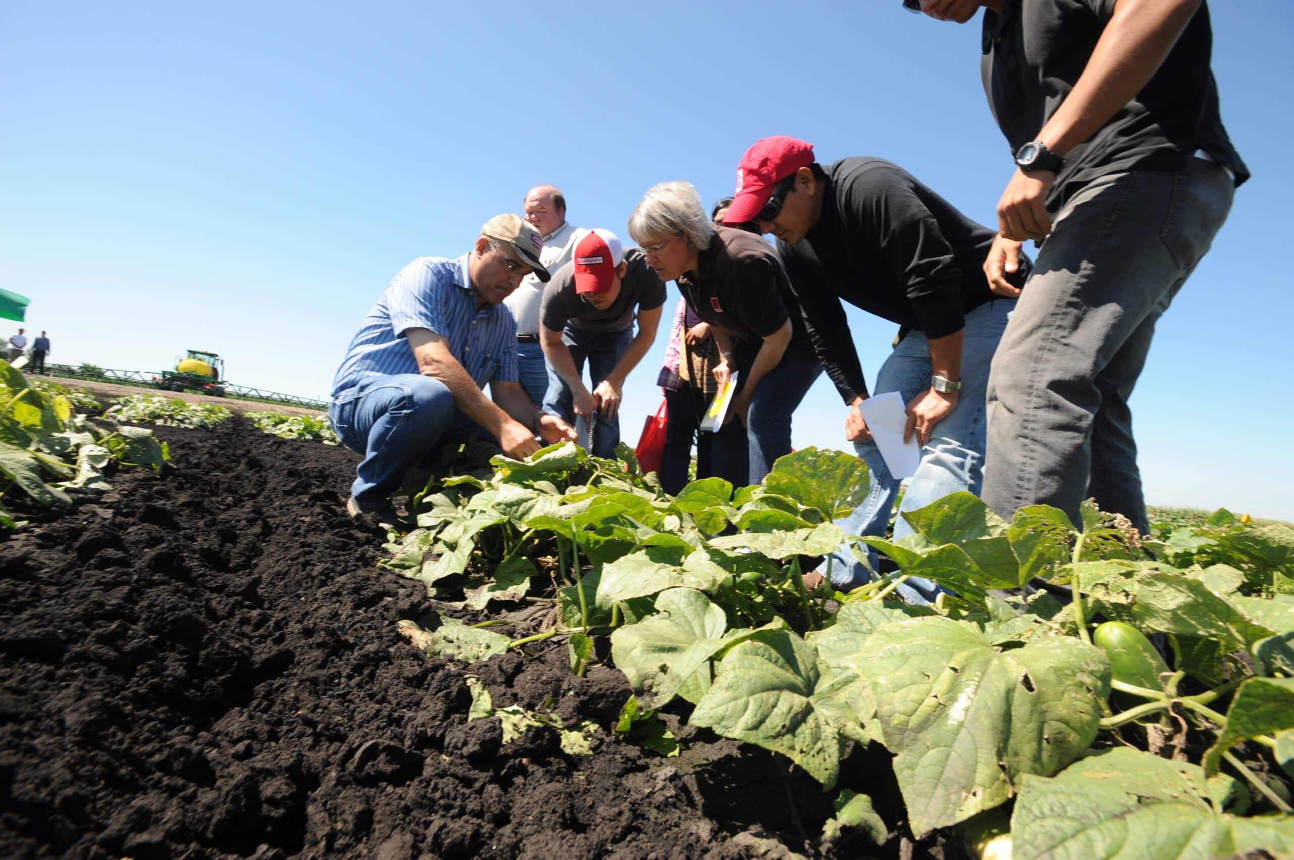 Professor and students at OSU an extension site