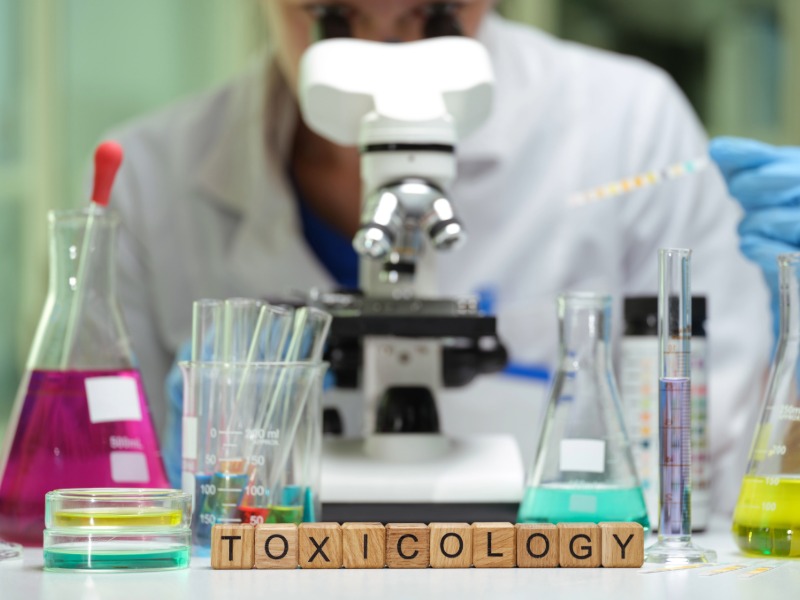 Pharmacology professional in a lab looking under a microscope with the word ‘toxicology’ spelled out in block letters.